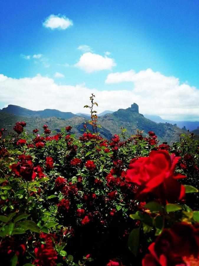 El Rincon Del Nublo Landhaus